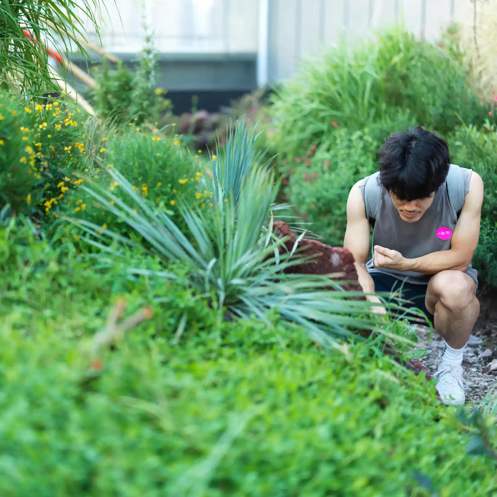 Eine Person kniet auf einem Weg in einem Garten und betrachtet Pflanzen. Sie trägt ein graues ärmelloses Shirt und weiße Socken. Um sie herum sind grüne Büsche und Gräser mit einigen gelben Blüten.