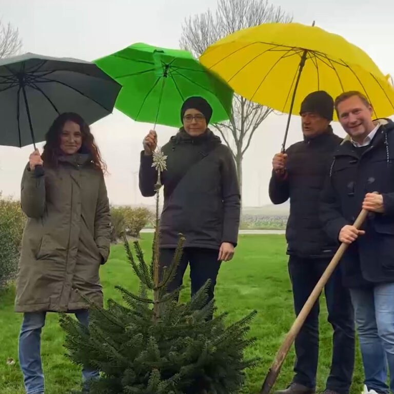 Vier Personen stehen im Freien auf einer Wiese mit einem kleinen Tannenbaum. Zwei halten Regenschirme in Grau, Grün und Gelb. Eine Person hält eine Schaufel. Alle tragen wetterfeste Kleidung. Der Hintergrund zeigt Bäume und einen grauen Himmel.